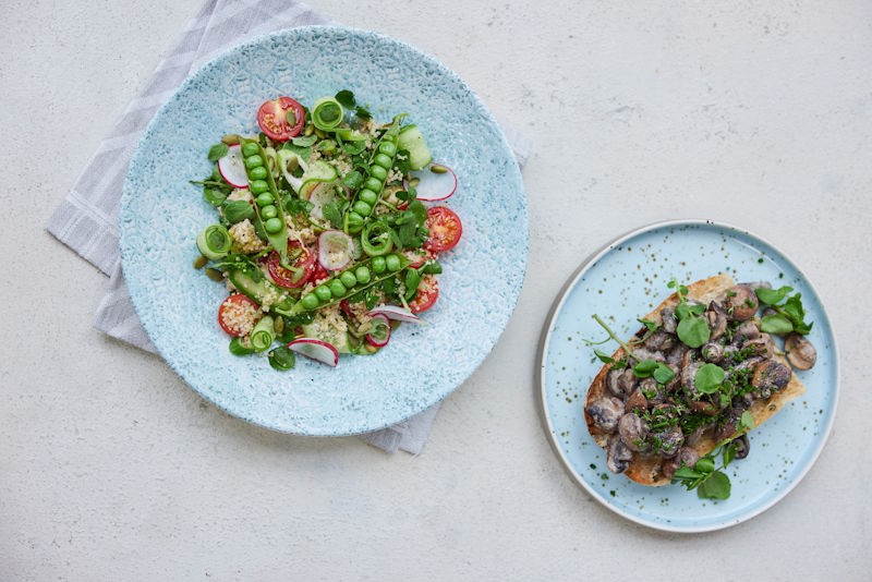 Dine Nutrition+